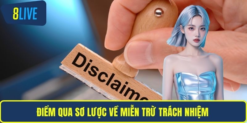 Điểm qua sơ lược về miễn trừ trách nhiệm 